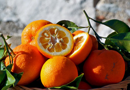 Eden della frutta, vendita al dettaglio dell'arancio amaro