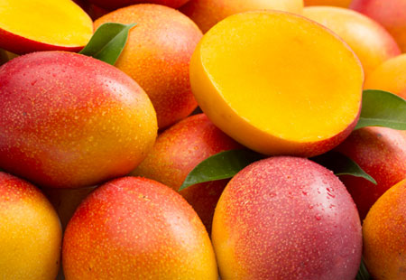 Eden della frutta vende all'ingrosso frutta tropicale come il mango
